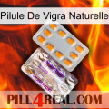 Natural Vigra Pill new12